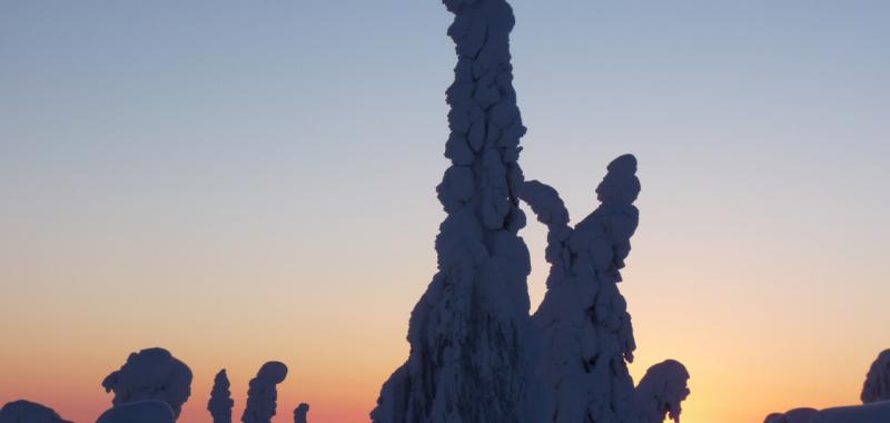 Bosques helados de Laponia, Finlandia